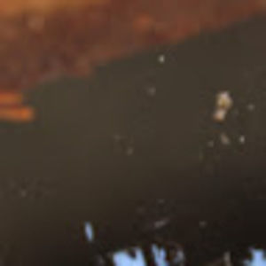 Meet your Posher, Nathan